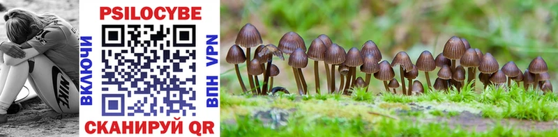 Галлюциногенные грибы Cubensis  сколько стоит  Печора 
